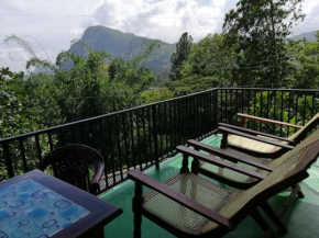 Little paradise Homestay